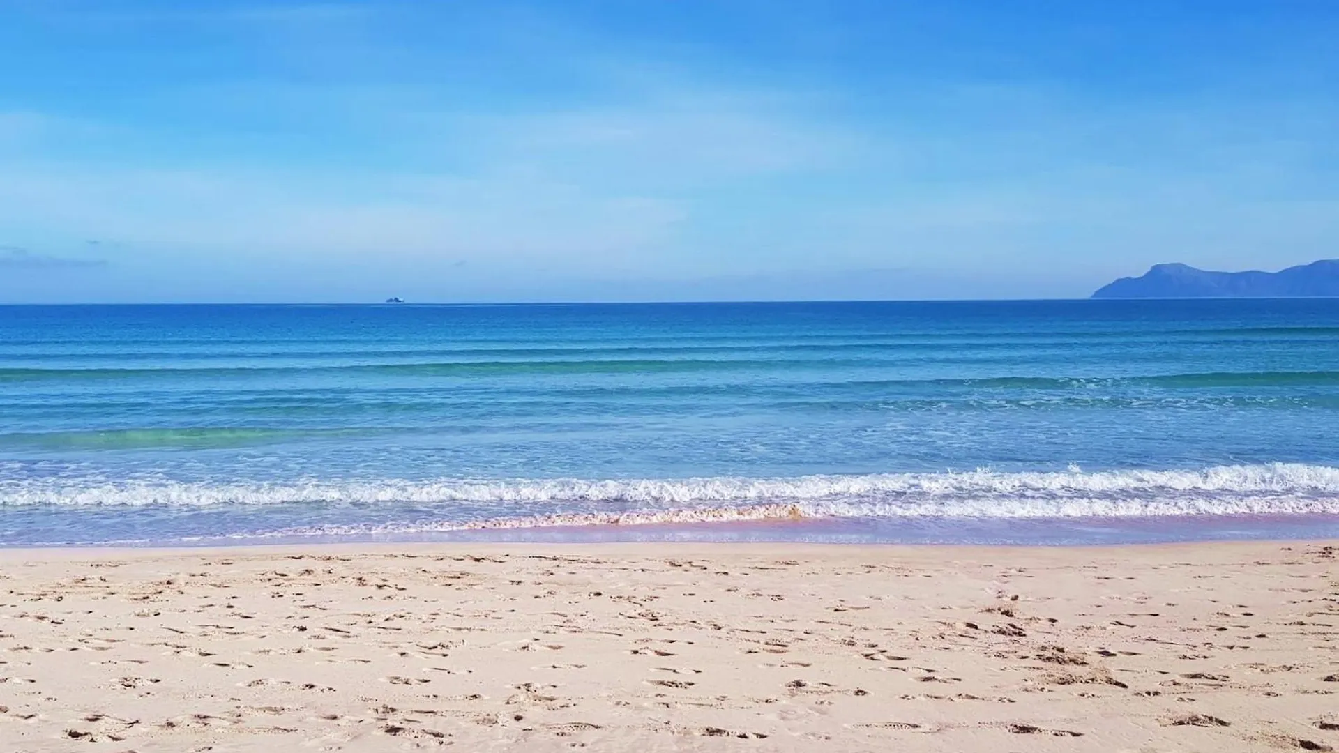 Holiday Home For 6 Guests In Manacor